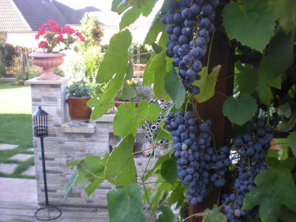 Ferienhaus Sophia Cozy Self Catering *