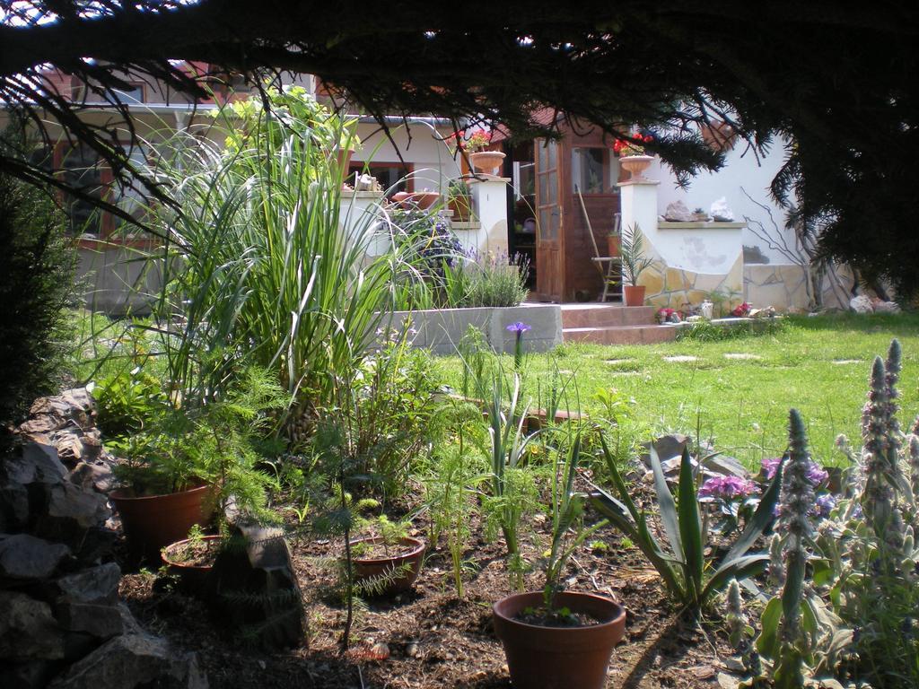 Sophia Cozy Self Catering