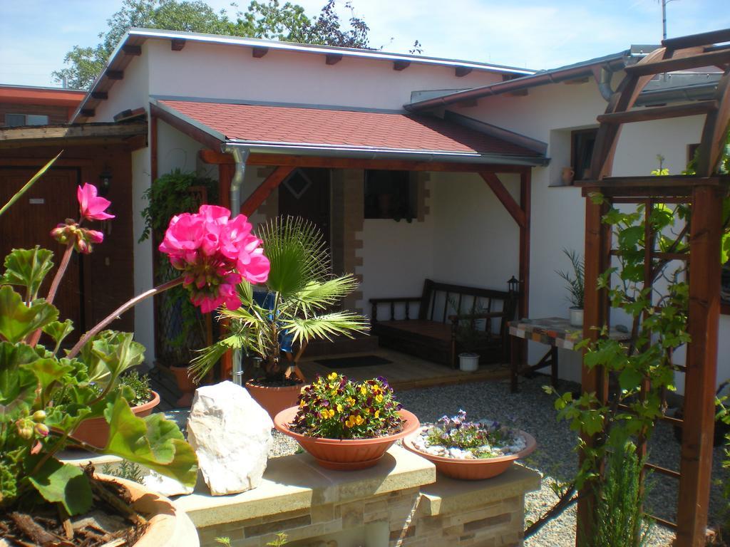 Sophia Cozy Self Catering